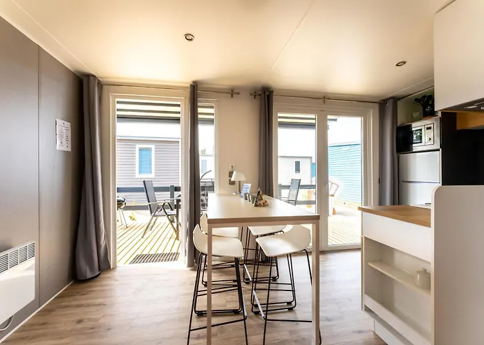 Muschel 62 シャルボイツ